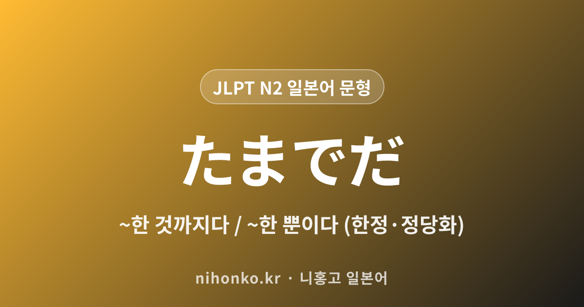 ~たまでだ - JLPT N2 일본어 문법 문형