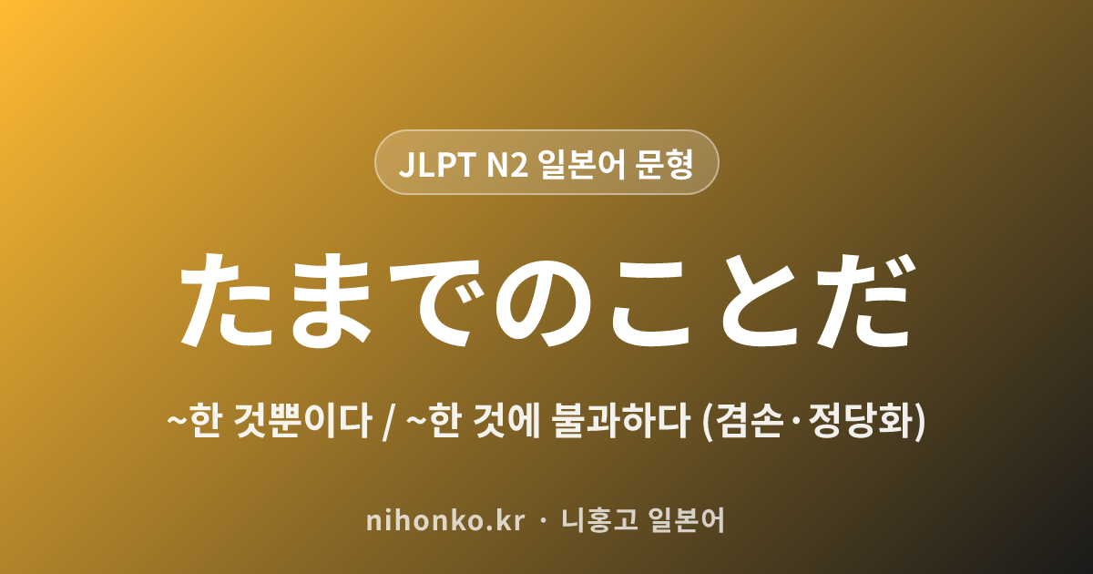 〜たまでのことだ - JLPT N2 일본어 문법 문형