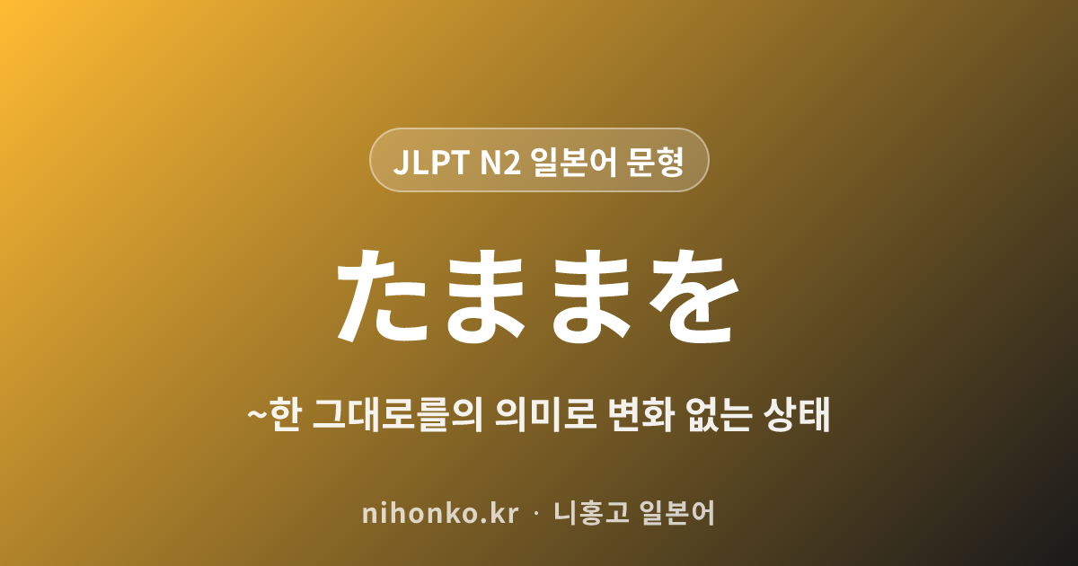 ~たままを - JLPT N2 일본어 문법 문형