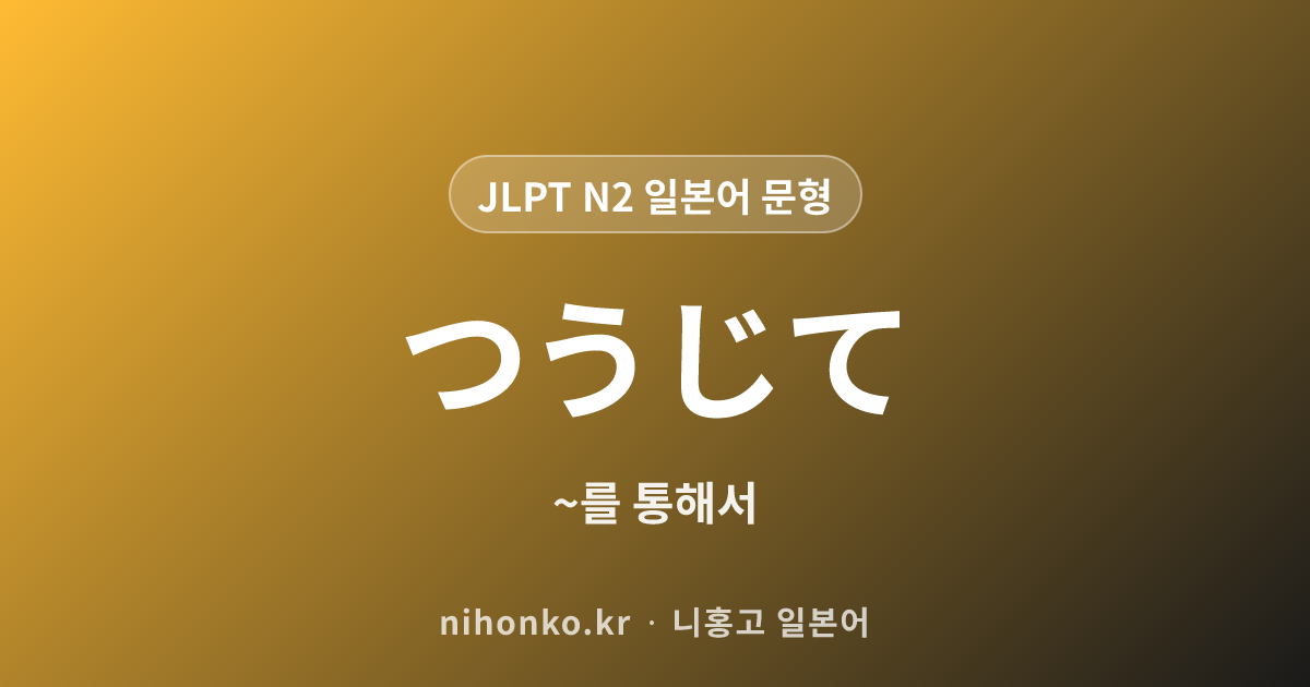 をつうじて-(通じて通して) - JLPT N2 일본어 문법 문형