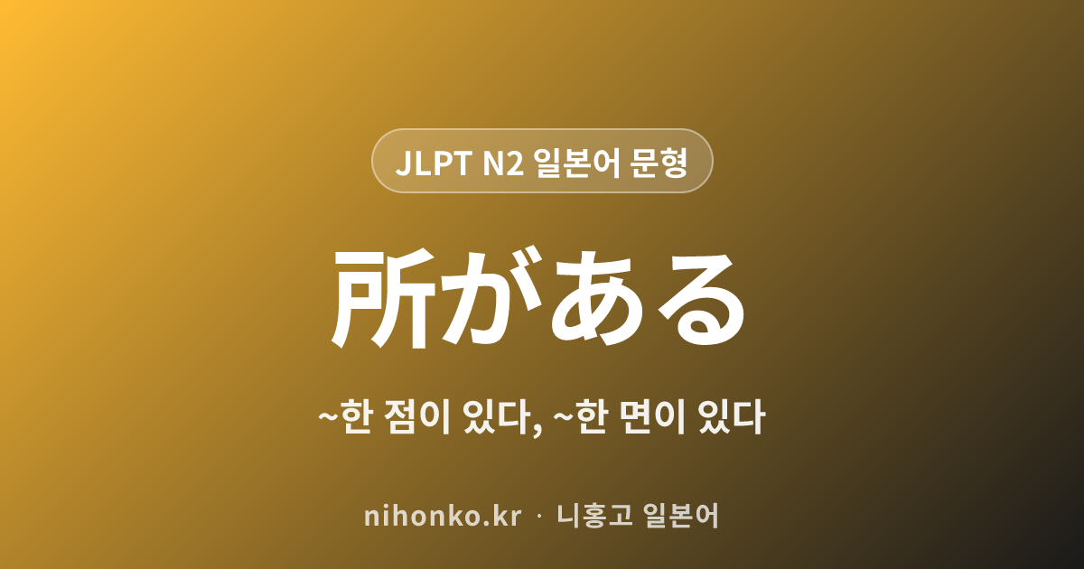 〜ところがある - JLPT N2 일본어 문법 문형