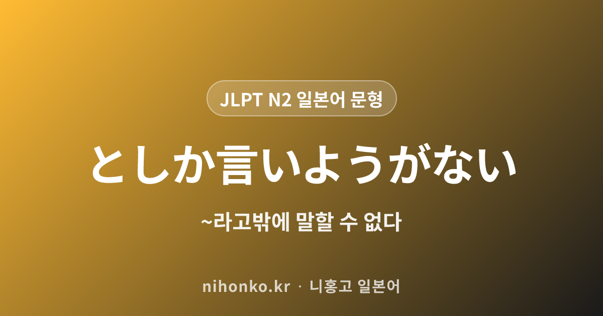 ~としか言いようがない - JLPT N2 일본어 문법 문형