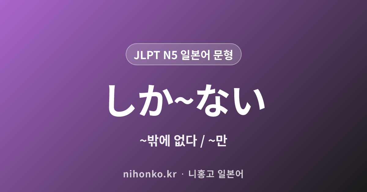 しか~ない - JLPT N5 일본어 문법 문형
