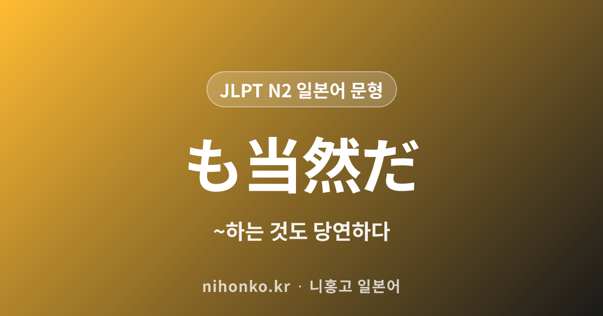 〜も当然だ - JLPT N2 일본어 문법 문형