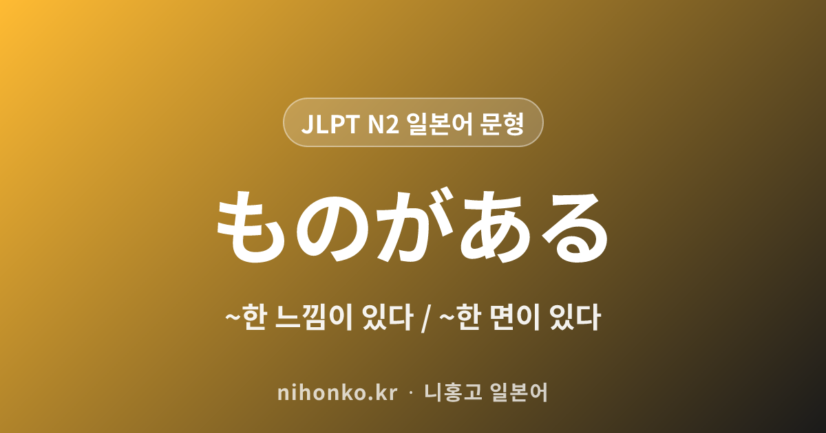 ~ものがある - JLPT N2 일본어 문법 문형