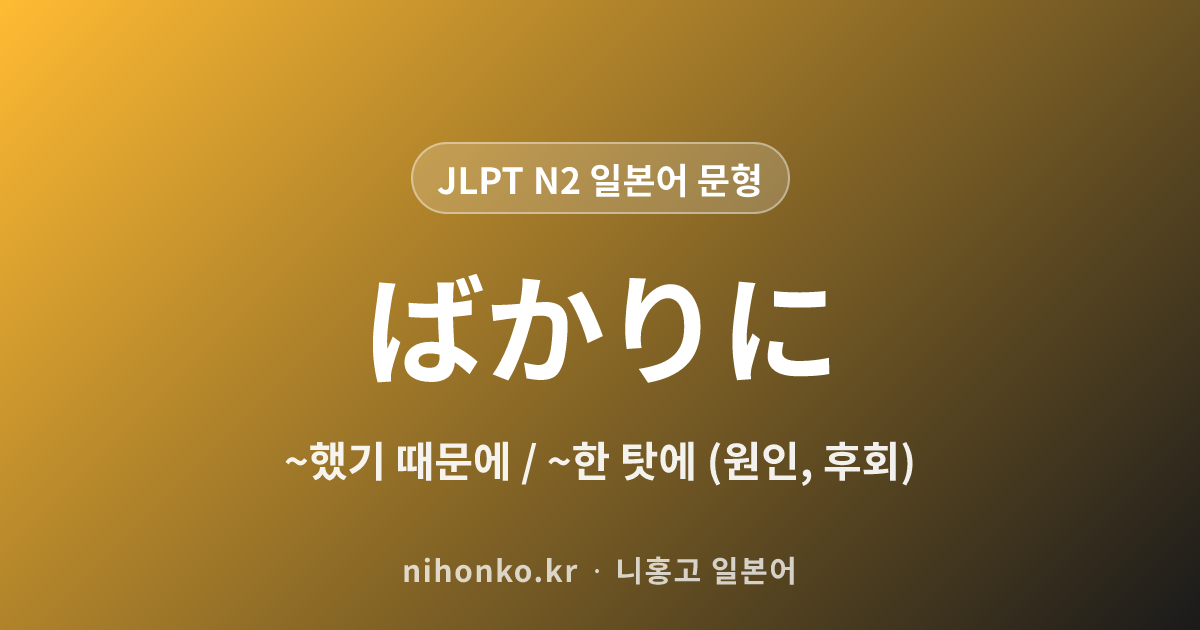 ~ばかりに - JLPT N2 일본어 문법 문형