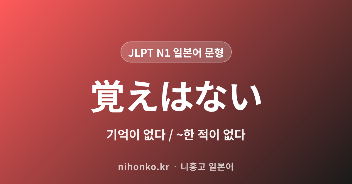 覚えはない - JLPT N1 일본어 문법 문형