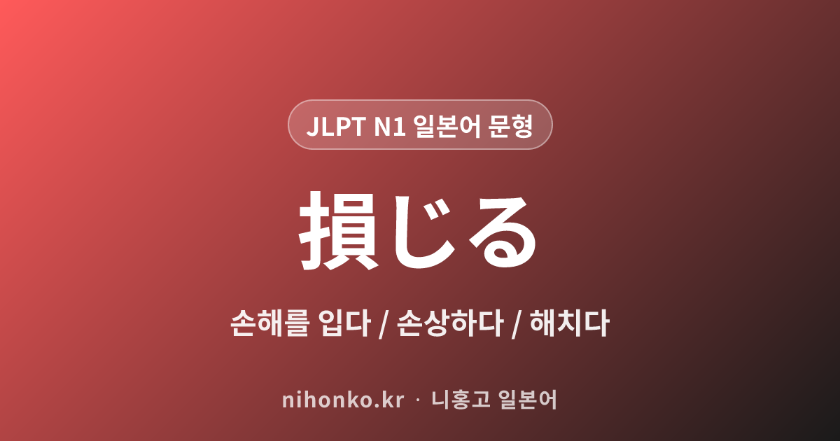 ~損じる - JLPT N1 일본어 문법 문형