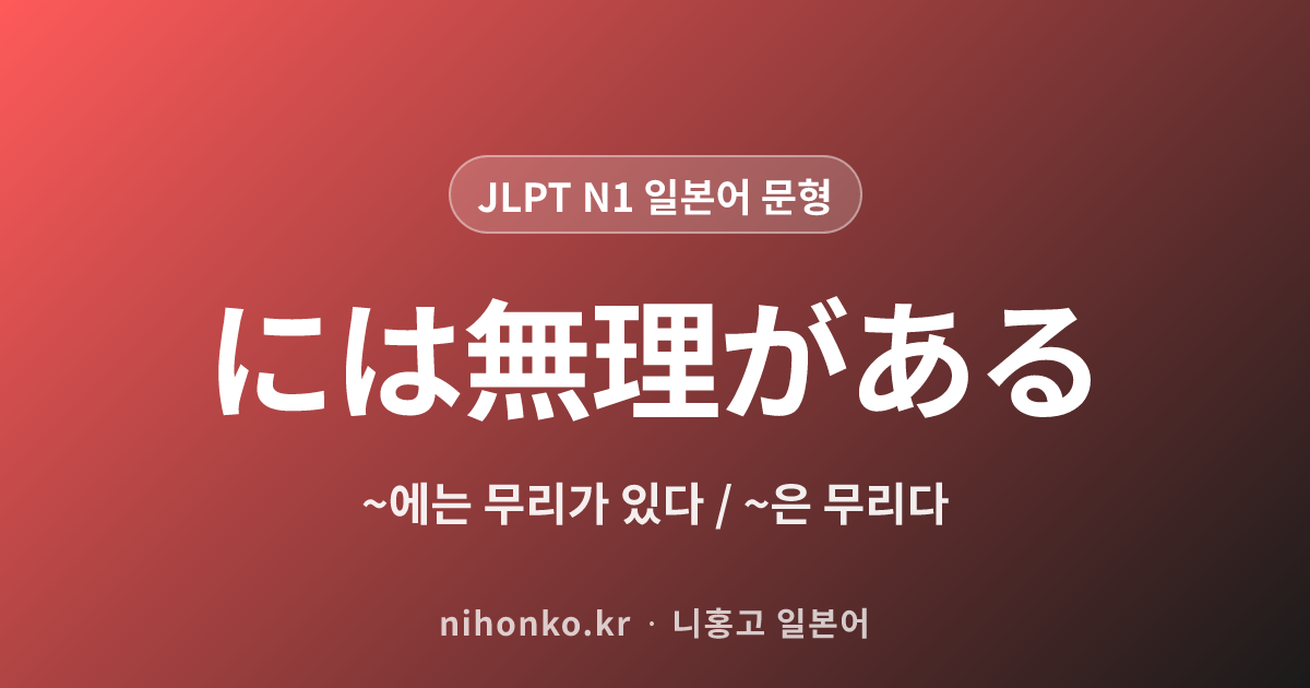 ~には無理がある - JLPT N1 일본어 문법 문형