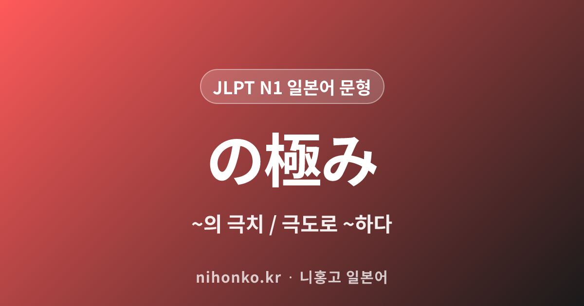 の極み - JLPT N1 일본어 문법 문형