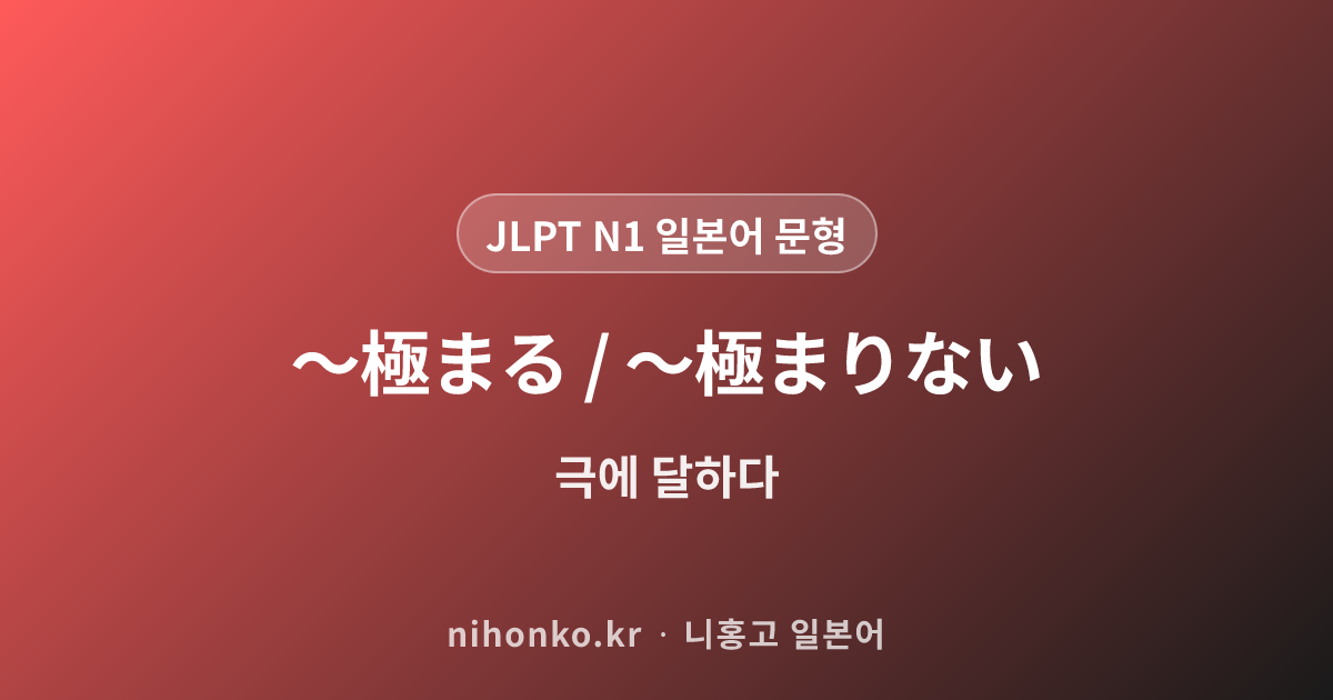 〜にそくして - JLPT N1 일본어 문법 문형