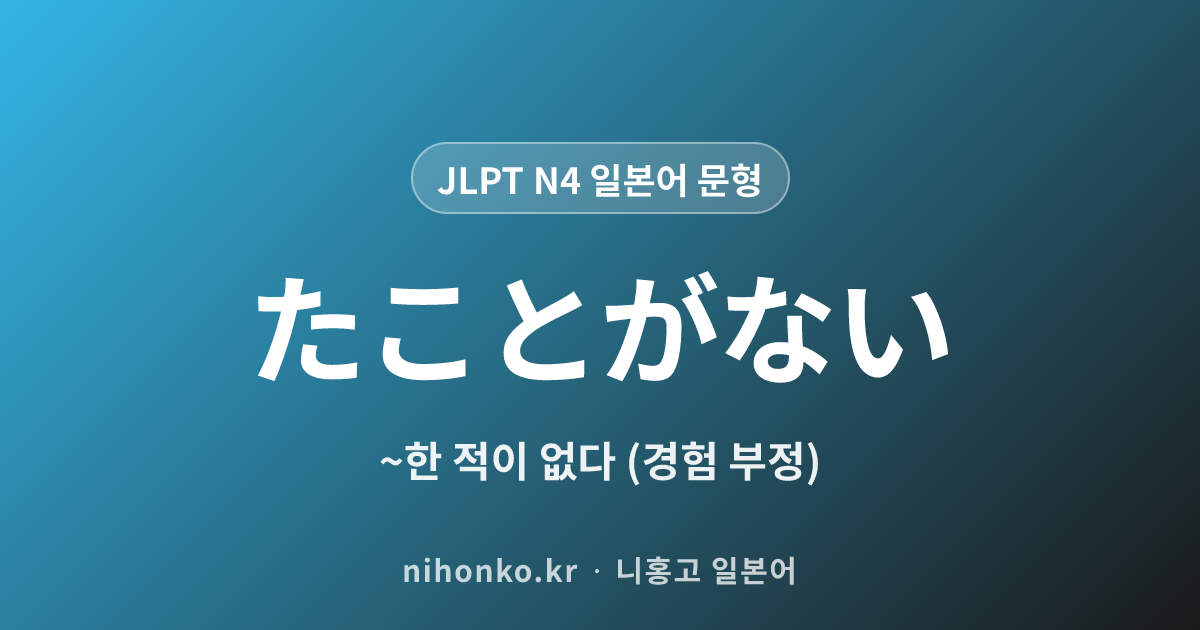 ~たことがない - JLPT N4 일본어 문법 문형
