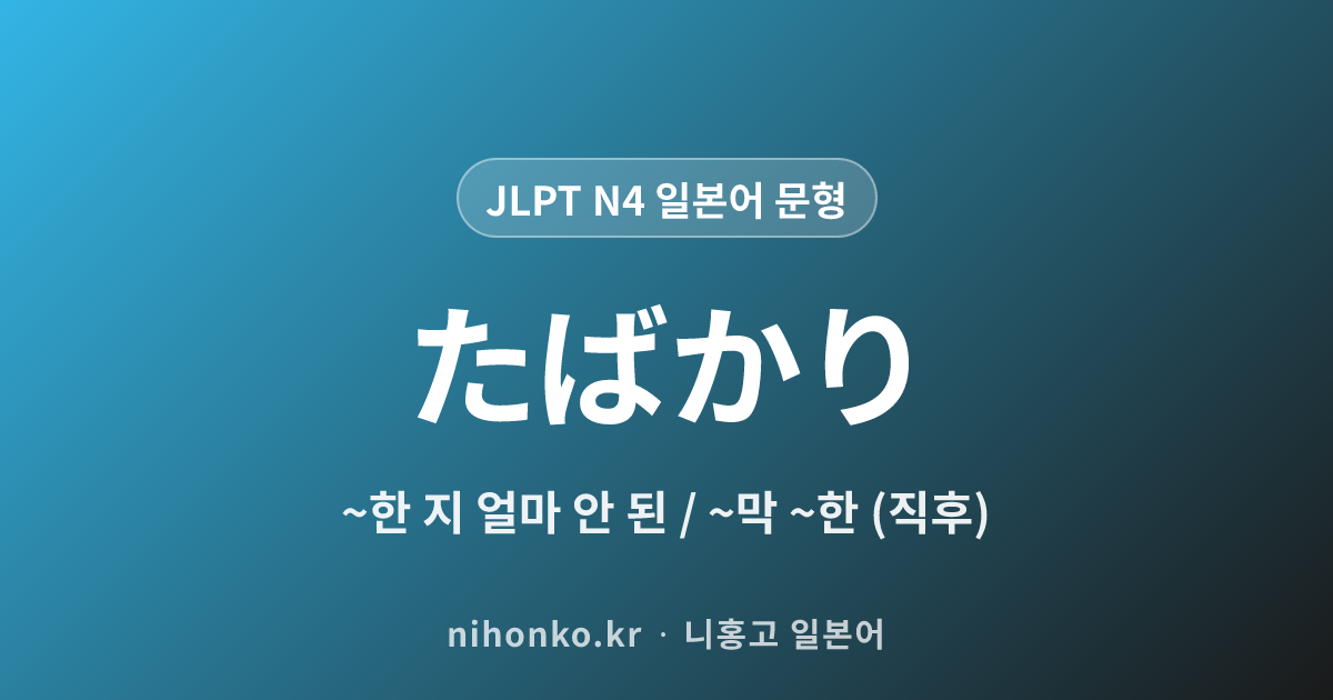 〜たばかり - JLPT N4 일본어 문법 문형