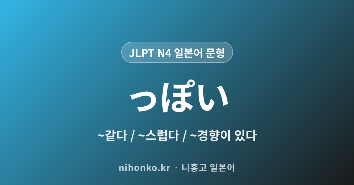~っぽい - JLPT N4 일본어 문법 문형