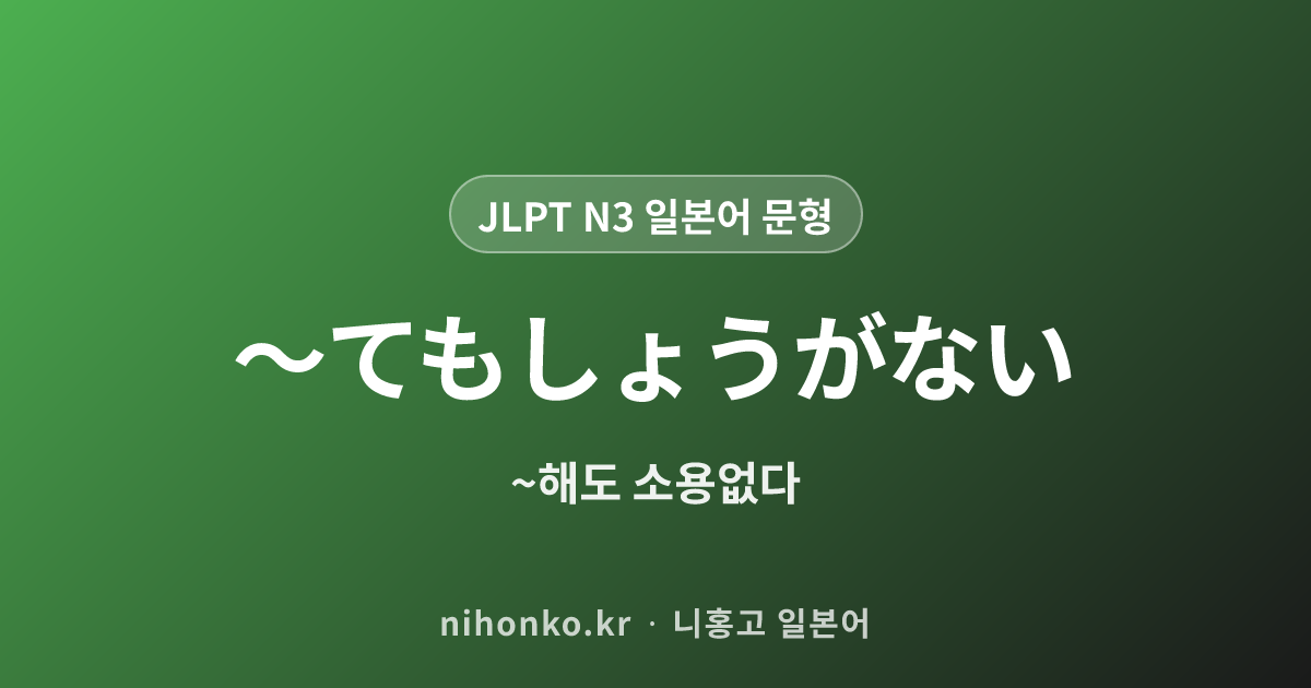 〜てもしょうがない - JLPT N3 일본어 문법 문형