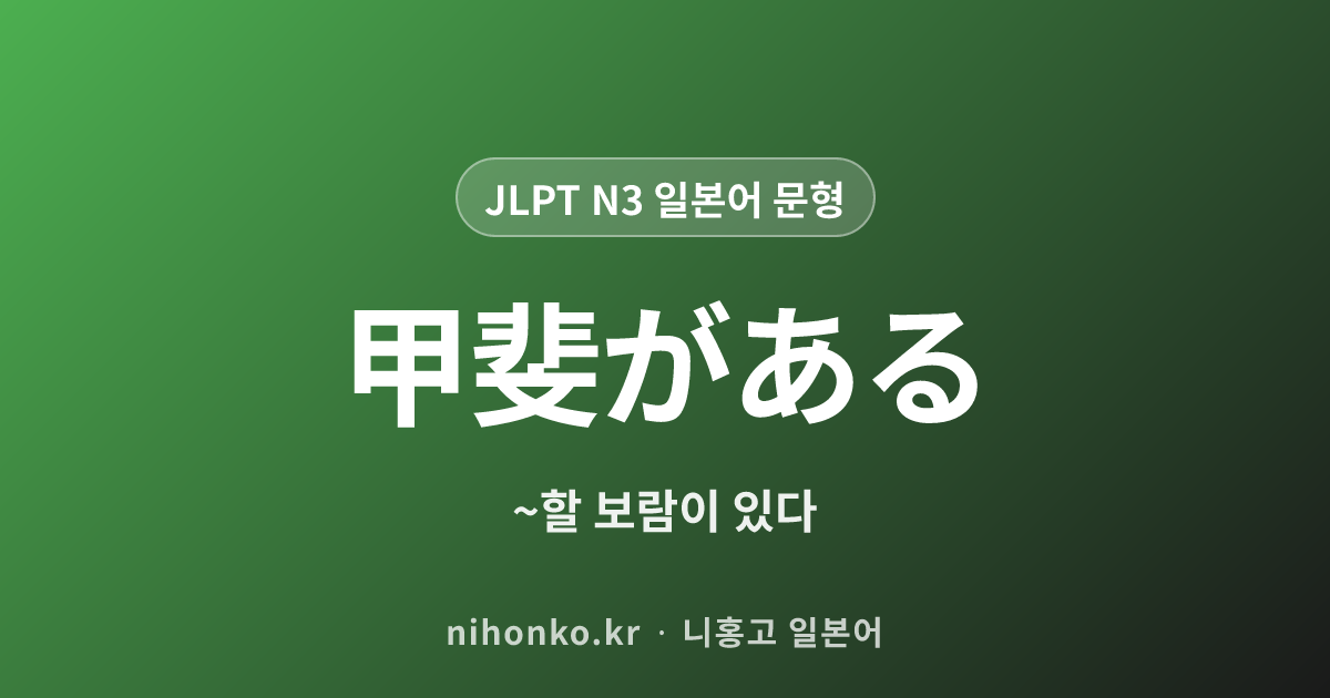 甲斐がある - JLPT N3 일본어 문법 문형