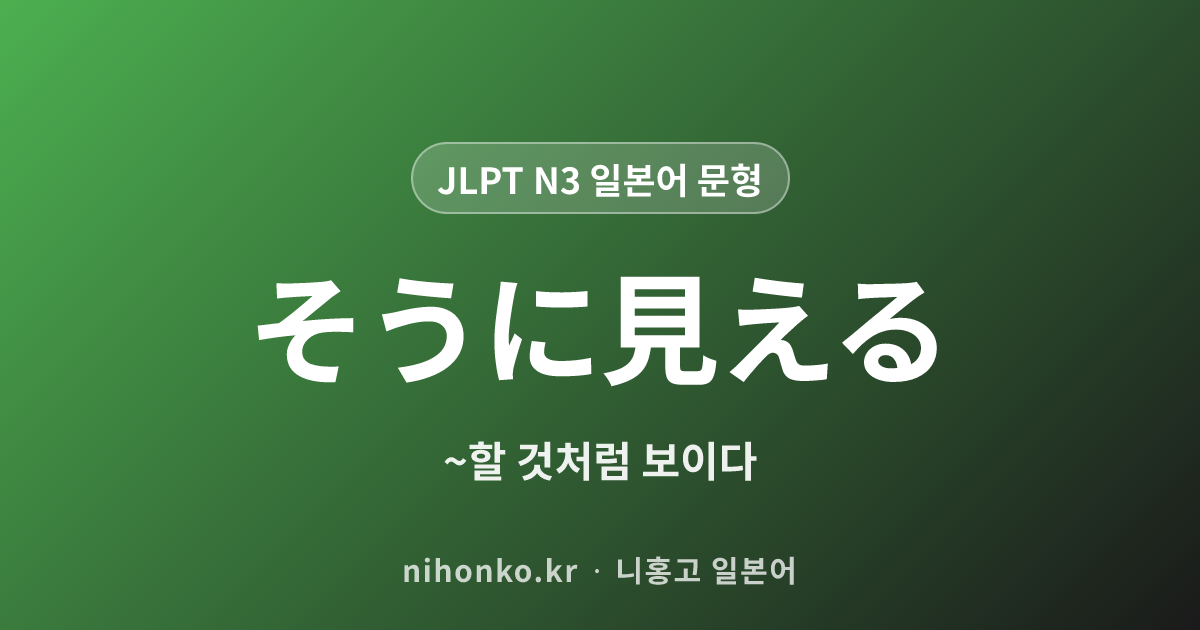 〜そうに見える - JLPT N3 일본어 문법 문형