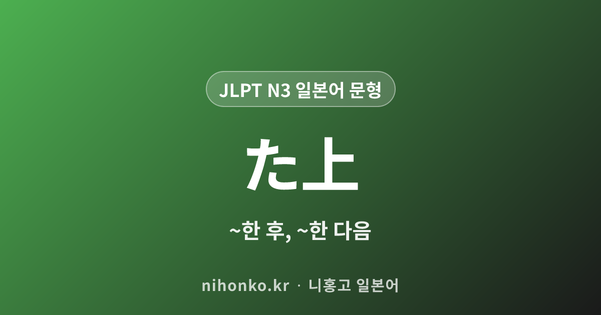 〜た上で - JLPT N3 일본어 문법 문형