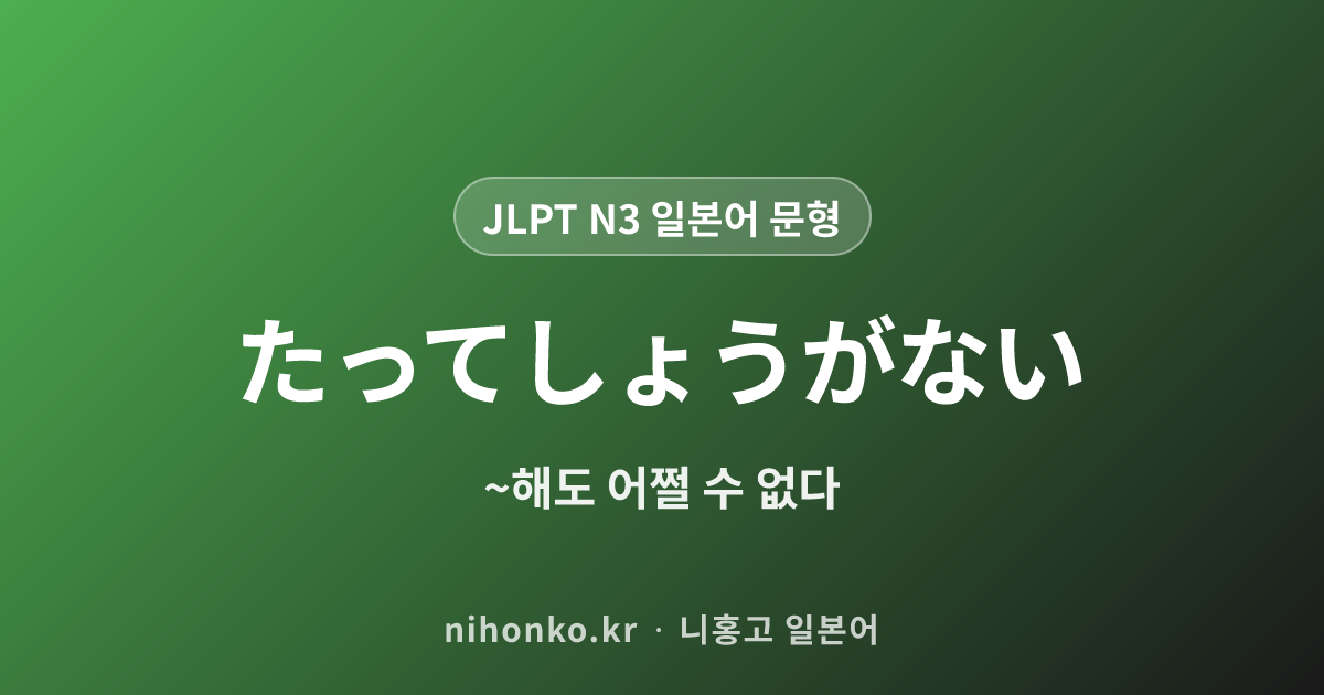 ~たってしょうがない - JLPT N3 일본어 문법 문형