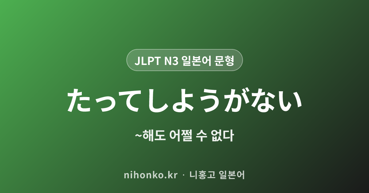 〜たってしようがない - JLPT N3 일본어 문법 문형