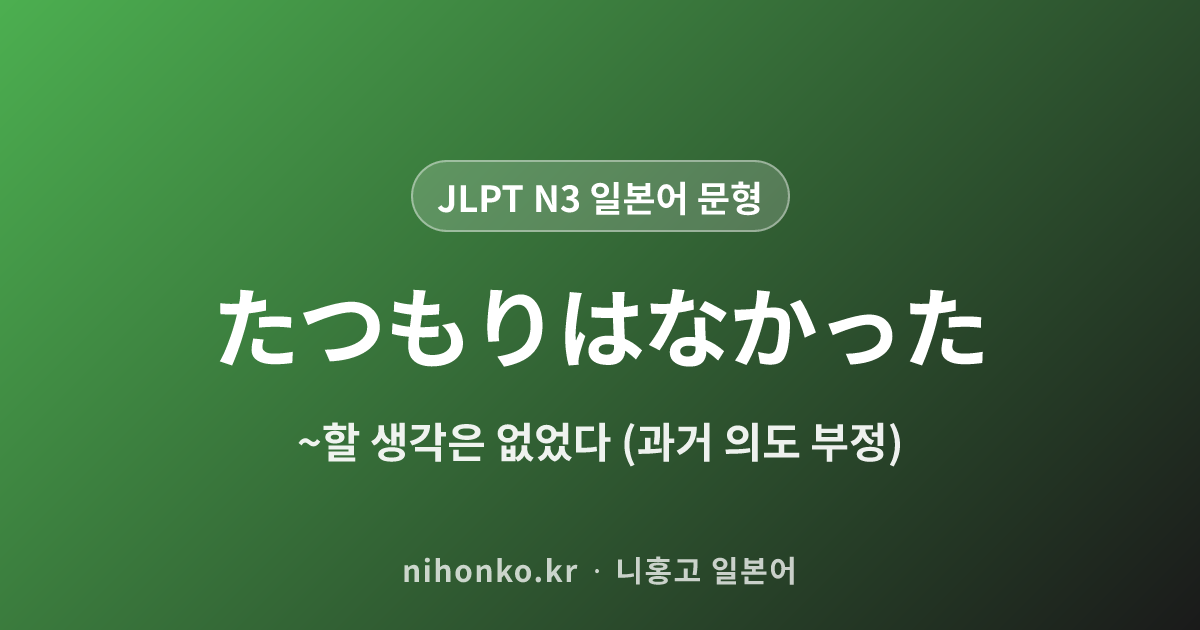 ~たつもりはなかった - JLPT N3 일본어 문법 문형