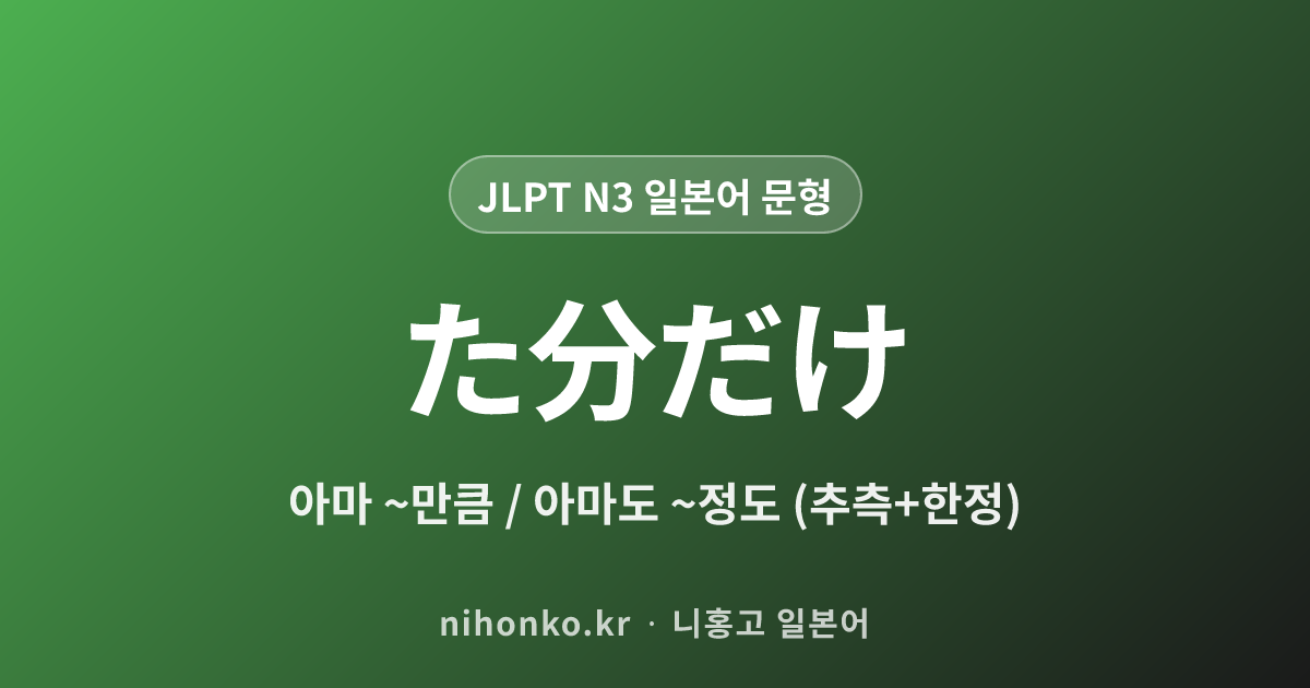 ~た分だけ - JLPT N3 일본어 문법 문형