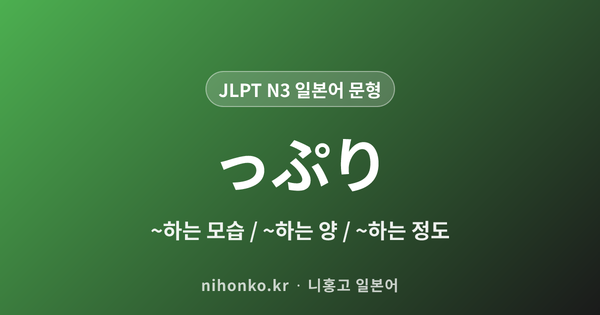 ~っぷり - JLPT N3 일본어 문법 문형