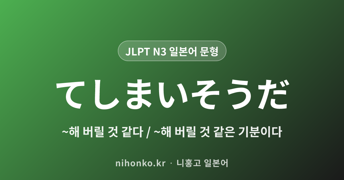 ~てしまいそうだ - JLPT N3 일본어 문법 문형