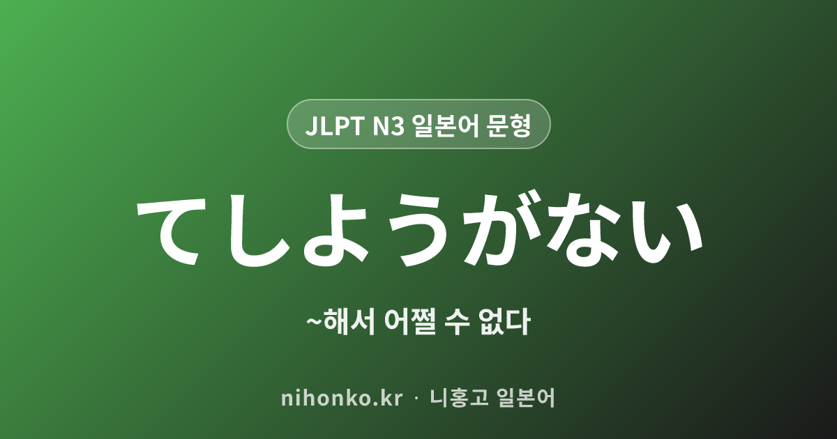 〜てしようがない - JLPT N3 일본어 문법 문형