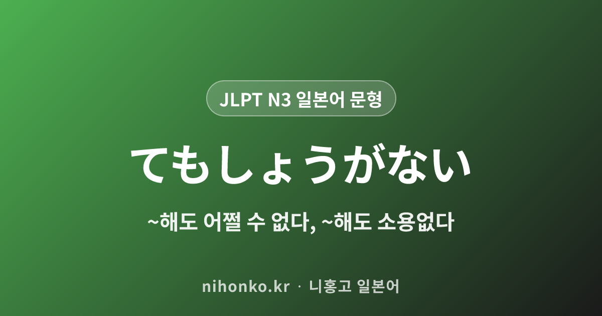 ~てもしょうがない - JLPT N3 일본어 문법 문형