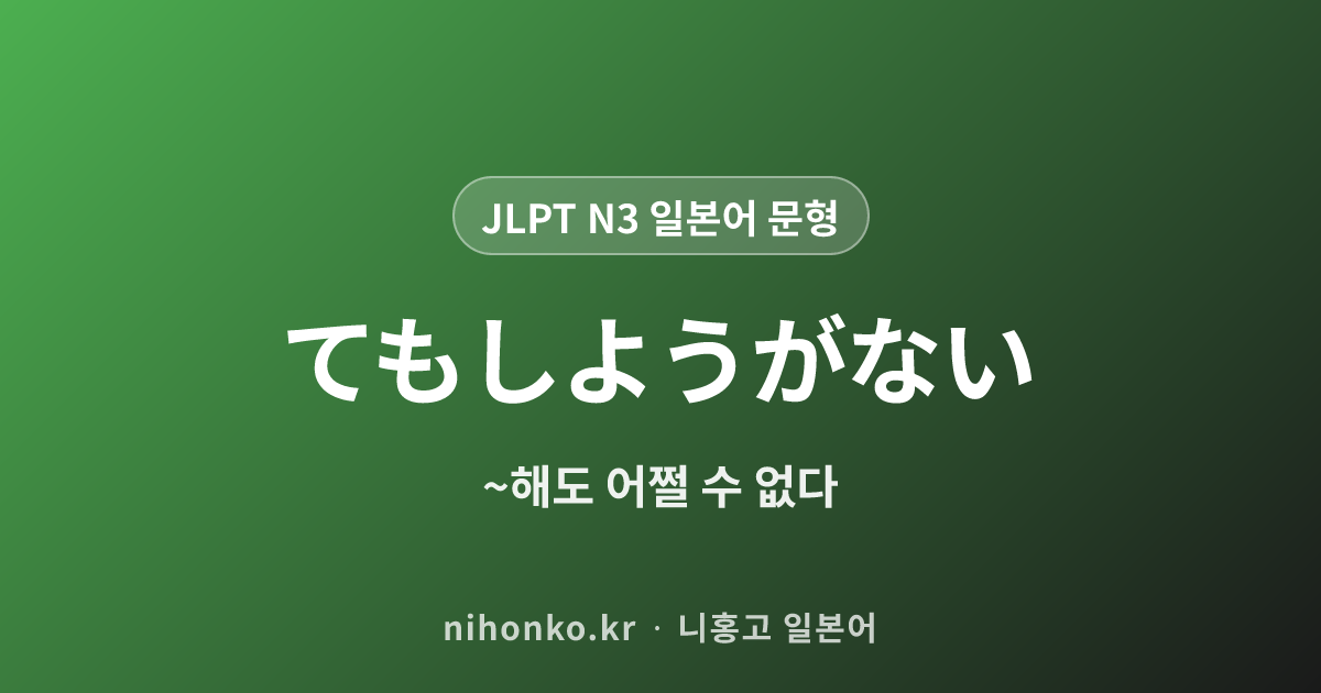 〜てもしようがない - JLPT N3 일본어 문법 문형