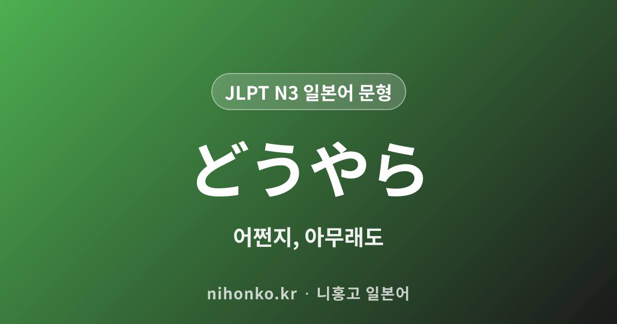 どうやら - JLPT N3 일본어 문법 문형