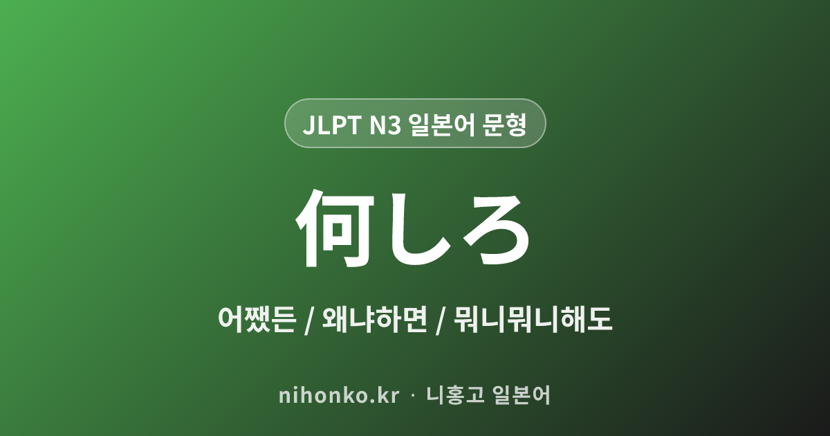 何しろ - JLPT N3 일본어 문법 문형