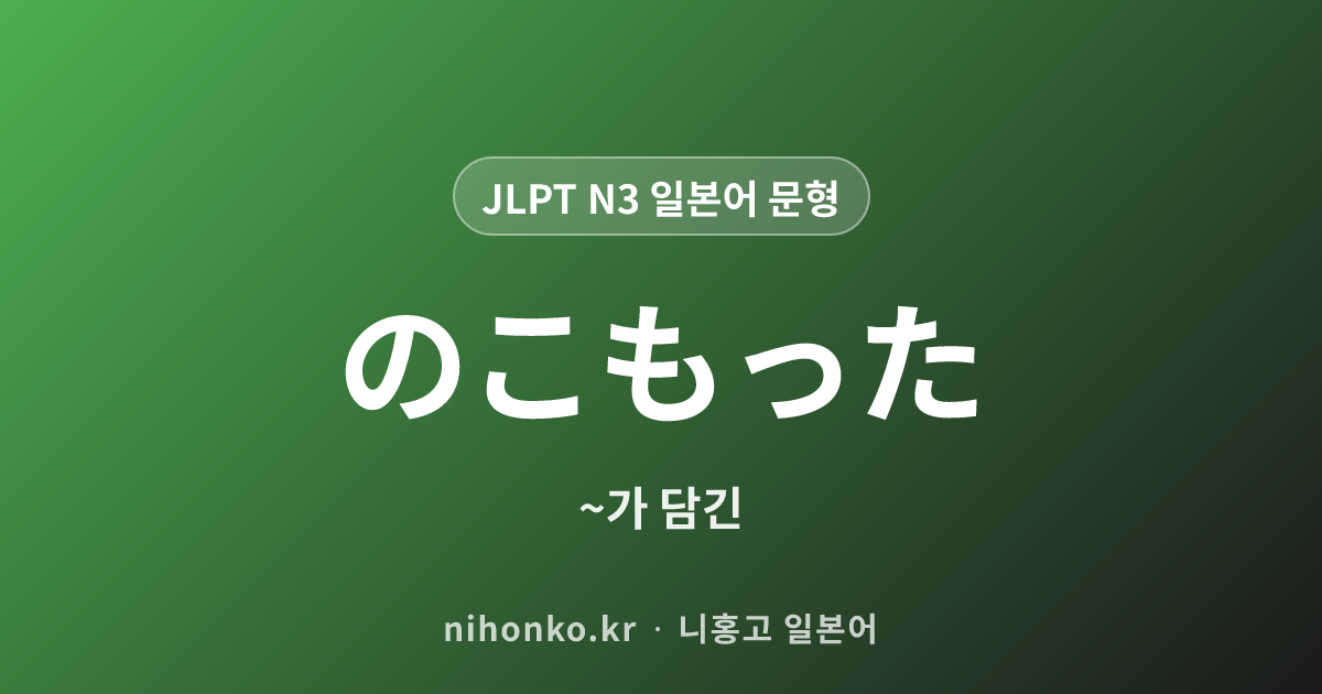 のこもった - JLPT N3 일본어 문법 문형