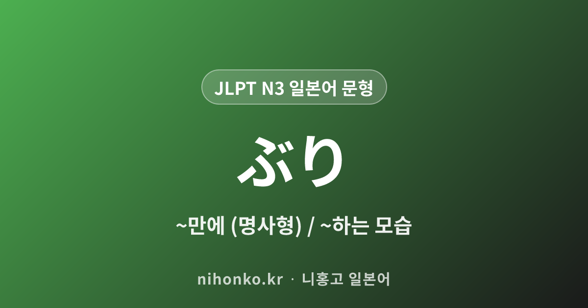 ぶり - JLPT N3 일본어 문법 문형