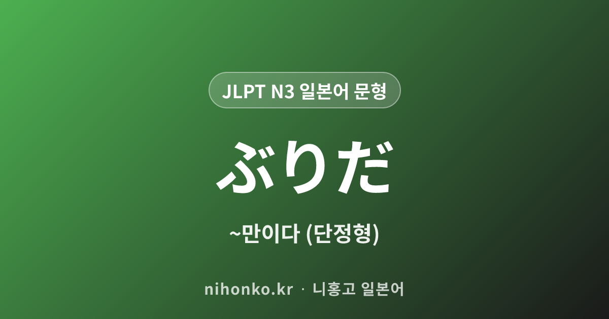 ぶりだ - JLPT N3 일본어 문법 문형