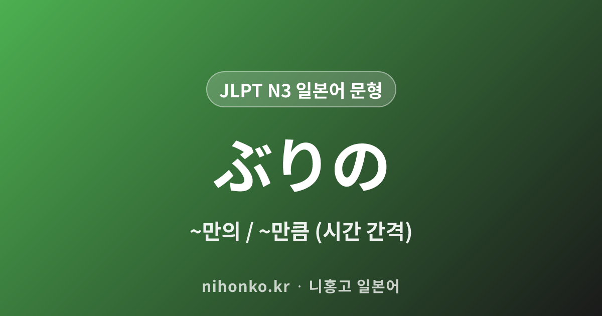 ぶりの - JLPT N3 일본어 문법 문형