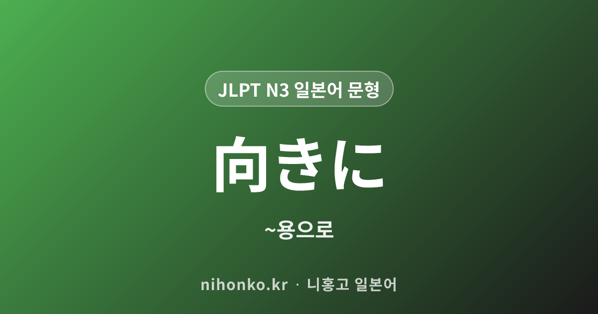 向きに - JLPT N3 일본어 문법 문형