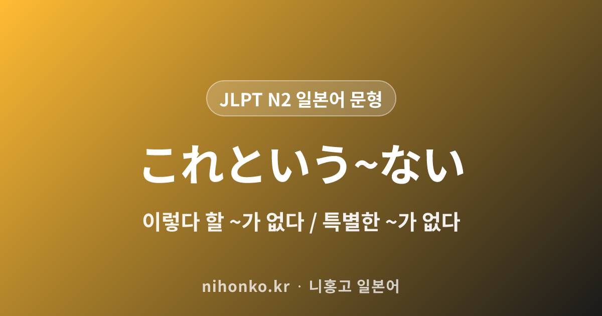 ~これという~ない - JLPT N2 일본어 문법 문형