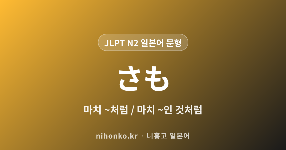 さも - JLPT N2 일본어 문법 문형